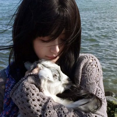 失控好莱坞