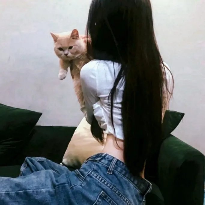 乾元仙阵